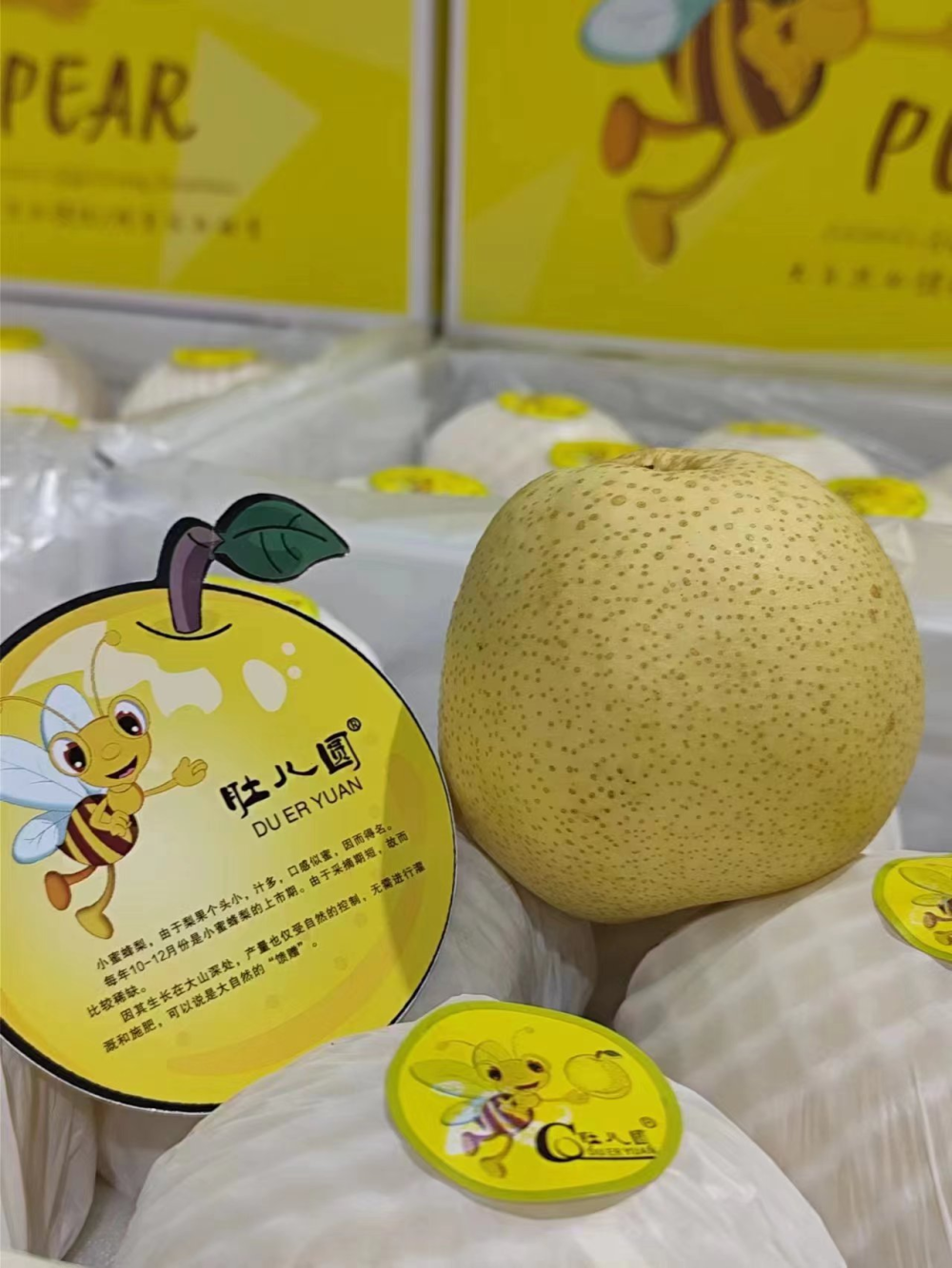 蜂蜜梨产品图.jpg